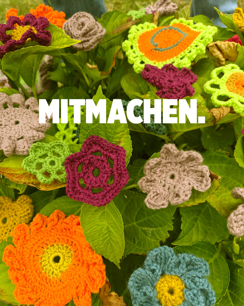 Ein Blütenteppich entsteht